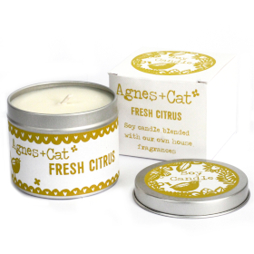 6x Tin Candle - Citrus