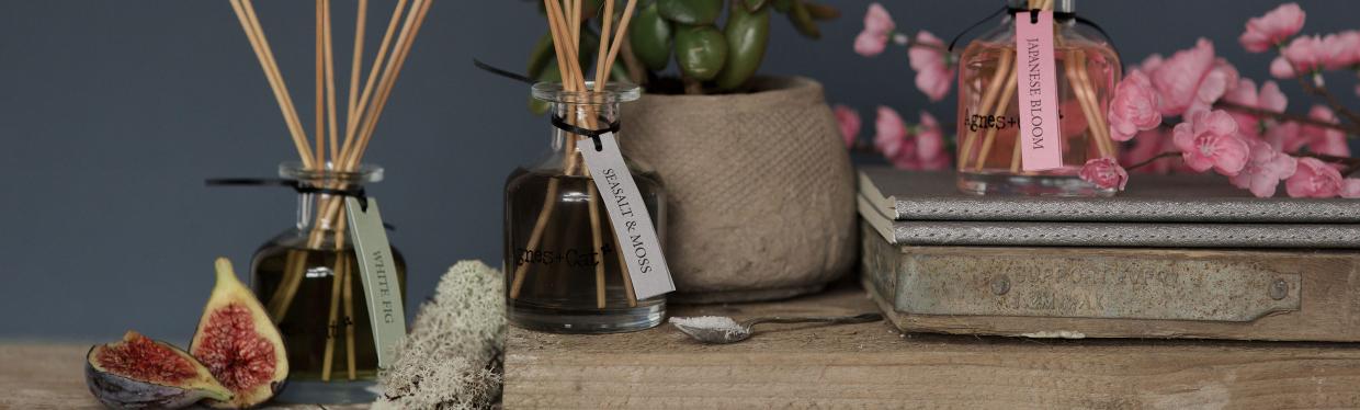 Reed Diffusers 140ml - Agnes and Cat Wholesale